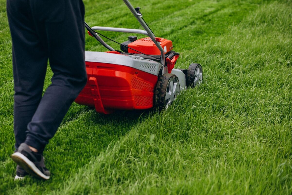 The Dynamic Duo of Modern Living: Roll-On Lawns and Temporary Employment Agencies